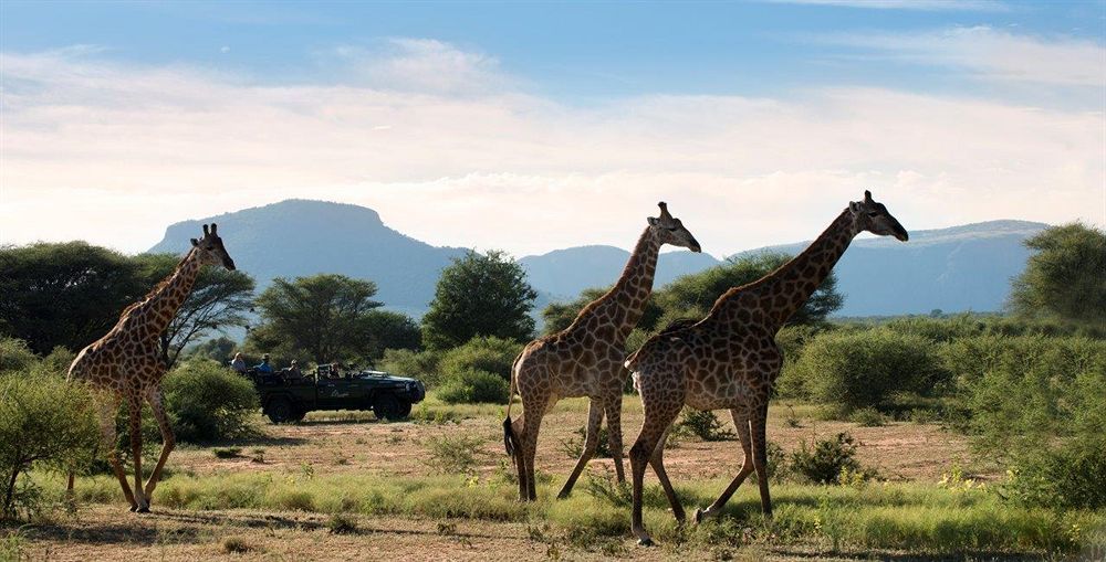 Marataba Safari Lodge Hartbeestfontein Eksteriør bilde